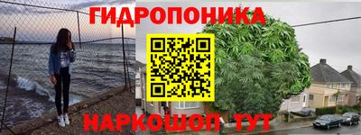 стаф Кандалакша