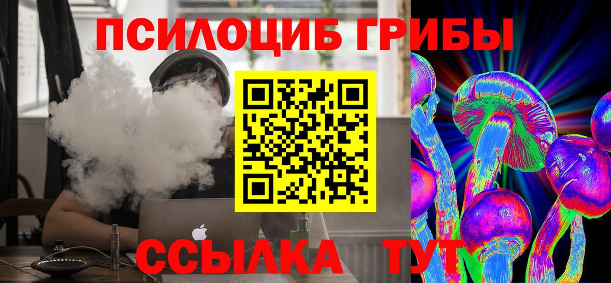 Топки  Псилоцибиновые грибы Psilocybe  Вход с VPN 