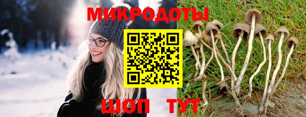 Псилоцибиновые грибы MAGIC MUSHROOMS Топки